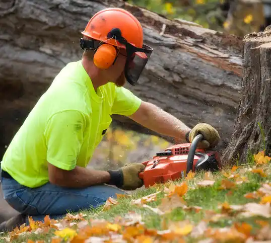 tree services Bogue